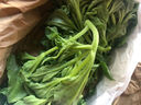 良知農哥【順豐】山東冰草 新鮮冰菜沙拉蔬菜冰葉 健康輕食 5斤 曬單實(shí)拍圖
