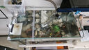 森森 超白玻璃小魚缸HWK-600P裸缸款水草缸金魚缸小型水族箱水草缸  曬單實拍圖