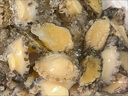 江船長(cháng) 冷凍鮑魚(yú) 凈重160g(18-22粒)袋裝 火鍋燒烤食材 海鮮生鮮 曬單實(shí)拍圖