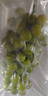 京鮮生陽光玫瑰香青提凈重4.5-5斤裝單果10g 葡萄/提子中秋水果源頭直發(fā) 曬單實(shí)拍圖