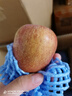 山姆大叔花牛蘋(píng)果甘肅天水蘋(píng)果【閃送】嬰兒蘋(píng)果紅蛇果水果禮盒中秋禮品 【較甜】精品果 | 單果70mm+ 9斤裝【全家分享-蕞劃算】?jì)?.5斤 曬單實(shí)拍圖