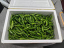 果小云樟樹(shù)港辣椒新鮮蔬菜薄皮嫩青椒湖南岳陽(yáng)下飯菜正宗旗艦店整箱順豐 5斤【順豐包郵】 曬單實(shí)拍圖