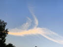 kocotreekk樹兒童一次性雨衣加厚壓縮便攜雨披長款上學(xué)防暴雨成人 兒童版 曬單實(shí)拍圖
