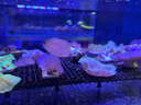 HEGEN海格恩新生兒奶瓶0-6個月+防脹氣嬰兒用品PPSU奶瓶套裝禮盒裝禮物 白色0-6個月+(150+ 240+儲存蓋*2) 曬單實拍圖