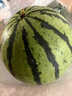 黃六爺 云南8424麒麟西瓜水果新鮮12斤超甜大果應當季甘美4K非無(wú)籽西瓜 只賣(mài)真-麒麟西瓜 云南麒麟西瓜*1【凈重6-7斤】 曬單實(shí)拍圖