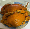 【活蟹】東非鮮活青蟹大紅膏蟹大螃蟹母紅膏蟹鮮活發(fā)貨 海鮮禮盒 【鮮活】青蟹公肉蟹3斤/5-6只 曬單實拍圖