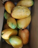 廣西小臺(tái)農(nóng)芒果 新鮮水果 帶箱2斤【單果80-120g】 曬單實(shí)拍圖