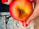 京鮮生Mr Apple新西蘭皇后紅玫瑰蘋(píng)果9粒特級果180-220g 水果禮盒 曬單實(shí)拍圖
