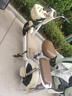 飛鴿 FG FLYING PIGEON電動車鋰電成人女生女士小型電動自行車輕便電單車2025新款電瓶車兩輪車 糯米白【新升級款/可上牌照/智能快充】 【鉛酸】12A石墨烯/可提充電/助力續(xù)航70km 曬單實拍圖