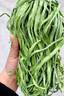 【新貨烘干】貢菜干新鮮脫水蔬菜農家土特產(chǎn)火鍋貢菜干 貢菜干 500g 曬單實(shí)拍圖
