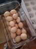 佳幫手冰箱專(zhuān)用收納盒食品級冰箱蔬菜雞蛋密封保鮮盒廚房冷凍整理儲物盒 曬單實(shí)拍圖