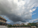 鮮京采沂蒙山黑豬去皮五花肉條 肥瘦5:5分 凈重4斤 慢養(yǎng)360天 源頭直發(fā) 曬單實(shí)拍圖