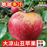 探味君 正宗大涼山丑蘋(píng)果 當季時(shí)令新鮮水果四川冰糖心蘋(píng)果紅富士 生鮮 凈重4.5-5斤 單果70mm-75mm 曬單實(shí)拍圖