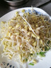 颯望【德國(guó)】家用豆芽機(jī)全自動(dòng)灑水三層大容量增壓發(fā)豆芽多功能智能綠豆黃豆芽苗發(fā)芽機(jī)泡豆生芽自動(dòng)  四季可用 三層大容量+遮光罩+壓盤 曬單實(shí)拍圖