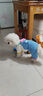 MIKI PAD狗狗衣服小型犬貓衣服秋冬季保暖可牽引外出背帶褲比熊泰迪雪納瑞 藍色口袋背帶褲 L背長(cháng)35cm（參考體重9-13斤） 曬單實(shí)拍圖
