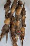 額爾敦內(nèi)蒙古草地羔羊肉串200g(10串)鮮凍生鮮肉串腌制食品燒烤食材 曬單實(shí)拍圖