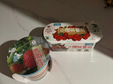 IAM City Farmer迷你世界水培菜套裝快速生長(cháng)豌豆蘿卜種子無(wú)土栽培種植套裝10118 曬單實(shí)拍圖