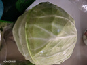 圓白菜約1kg 曬單實(shí)拍圖