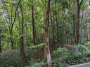 GUO LIAN國(guó)聯(lián) 翡翠生蝦仁海鮮去冰凈重2斤 156-198只去蝦線【400萬(wàn)+好評(píng)】 曬單實(shí)拍圖