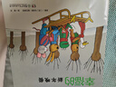 青蛙弗洛格的成長(cháng)故事（第三輯）拼音版 曬單實(shí)拍圖