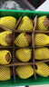 佳沛（zespri）綠奇異果 優(yōu)選大果12粒單果約113-135g  水果禮盒 獼猴桃 曬單實拍圖