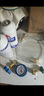 r22制冷劑氟利昂加氟工具定頻雪種冷媒氨加注套裝表家用空調(diào)藥水 (2瓶)R22冷媒+加氟套裝 曬單實(shí)拍圖