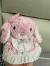 Jellycat粉色郁金香甜美小兔公仔動(dòng)物毛絨玩偶送禮娃娃生日新婚禮物 粉色 One Size 曬單實(shí)拍圖