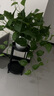 宜家（IKEA）OLIVBLAD歐利布拉植物架花架花幾鐵藝金屬架子室內(nèi)室外 植物架室內(nèi)/戶外 黑色35cm 曬單實拍圖