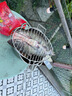 烤魚(yú)夾燒烤網(wǎng)夾子不銹鋼燒烤拍子夾板網(wǎng)燒烤配件 雙層烤網(wǎng) 烤菜夾 標準款小號（單面彎）烤1-2斤魚(yú) 曬單實(shí)拍圖