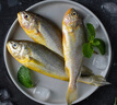 海名威冷凍東海小黃魚(yú)1斤 16-20條 生鮮魚(yú)類 海鮮水產(chǎn) 燒烤  曬單實(shí)拍圖