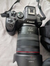 佳能（Canon）r6二代 全畫(huà)幅微單相機 EOS R6 Mark II 4K數碼高清旅游人像vlog攝影機身 r62二代相機 專(zhuān)業(yè)級微單 R6二代+24-105USM鏡頭套機 套餐一【128G卡-雙 曬單實(shí)拍圖