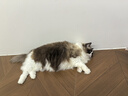 帕特 兔肉桃心餅凍干生骨肉貓零食貓主糧兔肉凍干240g/袋 曬單實(shí)拍圖