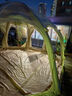 COODY軍鑫戶(hù)外露營(yíng)帳篷星空球型充氣式帳TPU觀(guān)景5-8人營(yíng)地拓展棉布帳篷 米黃色球帳 5*5 曬單實(shí)拍圖