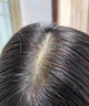 ZHENMI新加坡進(jìn)口洗發(fā)水防脫育發(fā)生姜固發(fā)去屑防掉斷發(fā)控油金榜第1名 曬單實(shí)拍圖