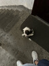 貝親（Pigeon）自然實(shí)感第3代啟銜奶嘴 寬口徑奶嘴 M號-1只裝 3個(gè)月以上 BA131 曬單實(shí)拍圖