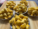 海南黃肉菠蘿蜜整個(gè) 新鮮水果三亞干苞木波羅蜜 20-25斤 曬單實(shí)拍圖
