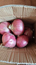 京鮮生 河南紫紅皮洋蔥凈重5斤單果200g+ 現(xiàn)挖新鮮蔬菜 源頭直發(fā)包郵 曬單實(shí)拍圖