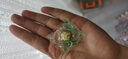 羞小情山茶花洗衣凝珠五合一濃縮洗衣液洗衣球速溶香氛持久留香去污 山茶花香【50顆袋裝】活動(dòng)沖量款 曬單實(shí)拍圖