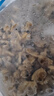 無沙花蛤肉500g新鮮冷凍速凍煮花甲肉蛤蜊肉黃蜆子肉海鮮水產(chǎn)商用 無沙花甲肉500g*2袋 曬單實拍圖