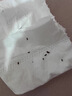 湯本臣克敵靈殺蟲(chóng)劑家用滅蟑螂螞蟻跳蚤臭蟲(chóng)驅蟲(chóng)藥一窩床上粉噴霧神器端 1套【一居室推薦】 曬單實(shí)拍圖