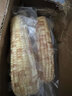 京鮮生【品質(zhì)好貨】版納花糯玉米凈重4斤單果100g+真空包裝源頭直發(fā) 曬單實(shí)拍圖