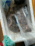 鯨甘郎魷魚鮮活冷凍新鮮超大魷魚尤魚生鮮整只船凍燒烤鐵板商用海鮮水產 整條魷魚3斤裝（凈重無冰） 曬單實拍圖