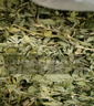 潔西 烘干紫花苜蓿草 兔子牧草干草飼料兔糧龍貓荷蘭豬豚鼠零食500g 曬單實(shí)拍圖