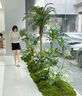 故森仿真植物綠植景觀(guān)造景陽(yáng)臺組合裝飾植物樓梯玻璃櫥窗仿生室內布置 景觀(guān)001-天堂鳥(niǎo)+加州蒲葵【主圖同款】 曬單實(shí)拍圖