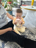 寶樂(lè )滋新國標嬰兒配方羊奶粉 A2生羊乳DHA乳鐵蛋白OPO雙益生菌 3段 800g 1罐 【會(huì )員9折】 曬單實(shí)拍圖