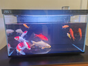當貝智能生態(tài)魚(yú)缸1Ultra 一體缸自循環(huán)雙過(guò)濾AI托養懶人家用桌面魚(yú)缸 曬單實(shí)拍圖