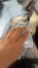 俞兆林兒童內(nèi)褲女童冰絲平角褲小女孩夏季薄款網(wǎng)眼透氣中大童四角短褲 曬單實(shí)拍圖