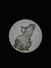薩伽（SAGA）專(zhuān)業(yè)顯微鏡雙目初中學(xué)生高倍顯微鏡生物高清教學(xué)科研水產(chǎn)養殖SG70 15：雙目TV版+4K電子目鏡 曬單實(shí)拍圖
