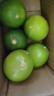 臺灣品種 塔希提無(wú)籽青檸檬 香水檸檬 新鮮皮薄 多汁沁香 綠色 嘗鮮裝含箱500g（精選裝） 曬單實(shí)拍圖