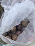 京鮮生新疆法蘭西西梅 凈重3斤 單果25g+ 生鮮水果 源頭直發(fā)包郵 曬單實(shí)拍圖
